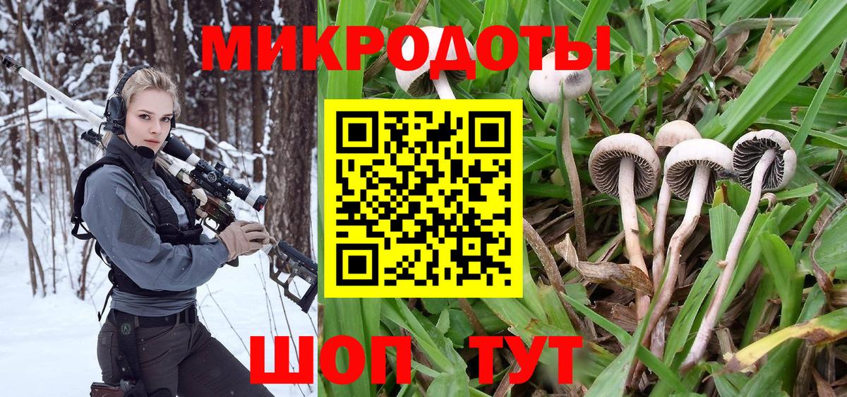 Галлюциногенные грибы Psilocybine cubensis  Вход с VPN  Иркутск  Галлюциногенные грибы GOLDEN TEACHER 
